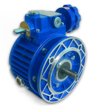Radicon Geared Motor
